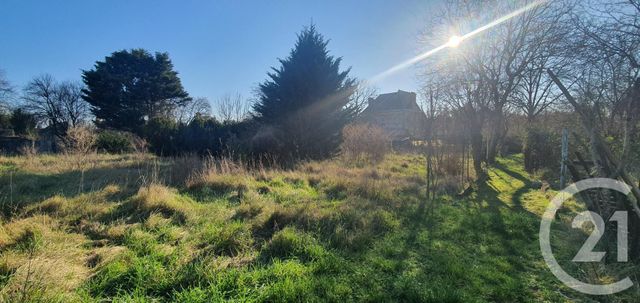 terrain - SOUPPES SUR LOING - 77
