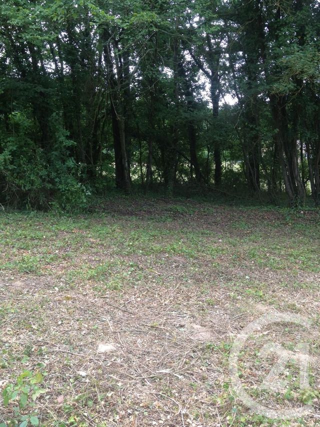 terrain à vendre - 3929.0 m2 - NANTEAU SUR LUNAIN - 77 - ILE-DE-FRANCE - Century 21 Cottage Immobilier