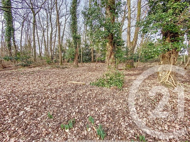 Afficher la photo en grand terrain à vendre - 1211.0 m2 - ST PIERRE LES NEMOURS - 77 - ILE-DE-FRANCE - Century 21 Cottage Immobilier