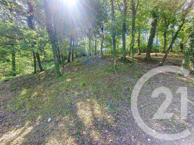 maison à vendre - 7 pièces - 189.0 m2 - BAGNEAUX SUR LOING - 77 - ILE-DE-FRANCE - Century 21 Cottage Immobilier