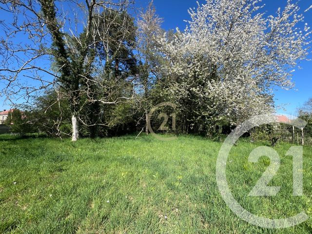 maison à vendre - 8 pièces - 234.2 m2 - CELY EN BIERE - 77 - ILE-DE-FRANCE - Century 21 Cottage Immobilier