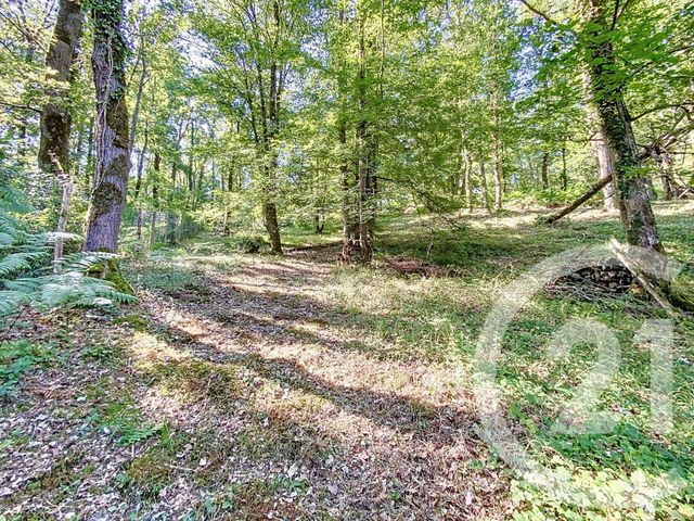 maison à vendre - 5 pièces - 96.0 m2 - FAY LES NEMOURS - 77 - ILE-DE-FRANCE - Century 21 Cottage Immobilier