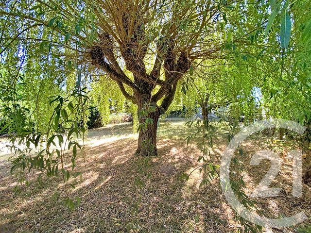 maison à vendre - 6 pièces - 181.0 m2 - NEMOURS - 77 - ILE-DE-FRANCE - Century 21 Cottage Immobilier