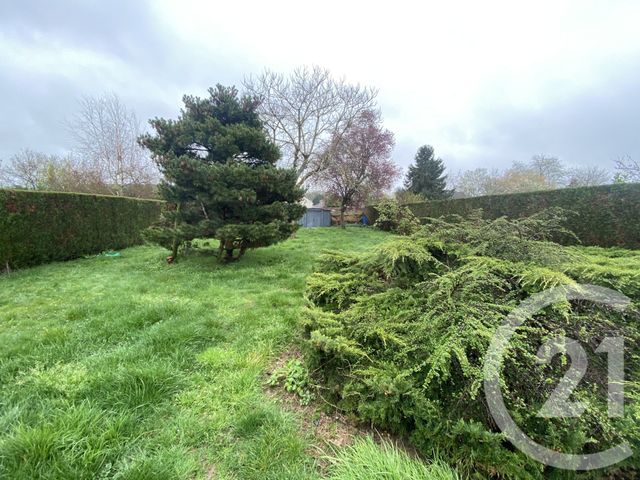 maison à louer - 3 pièces - 63.12 m2 - DORDIVES - 45 - CENTRE - Century 21 Cottage Immobilier